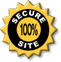 Secure 100% Site